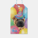 Sök efter kinesisk shar pei För alla