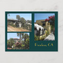 Sök efter sommar fotografi California
