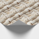 Sök efter björk presentpapper Vit björk träd