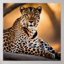 Sök efter prickig katt posters Djur