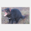Sök efter tassie Djur