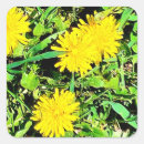 Sök efter pics klistermärken Blommor