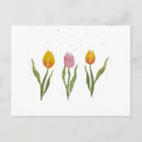 Sök efter tulpen vykort Tulpaner