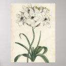 Sök efter studie posters Botaniska