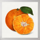 Sök efter utsökta konst Orange