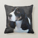 Sök efter springer spaniel heminredning Engelskt