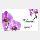 Sök efter phalaenopsis Lila