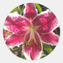 Sök efter läcka klistermärken Botanisk