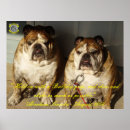 Sök efter engelsk bulldogg posters Engelskt