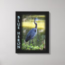 Sök efter stork fotografi För alla