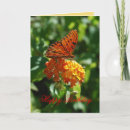 Sök efter fritillary Blommor
