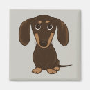 Sök efter brun hund magneter Dachshund