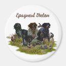 Sök efter spanjor magneter Hund