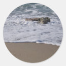 Sök efter seashore klistermärken Vatten
