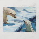 Sök efter nordpolen vykort Polar björn