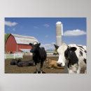 Sök efter silo posters Farm