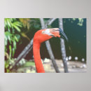 Sök efter nacke fotografi För alla