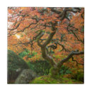 Sök efter japanskt träd kakelplattor Höst