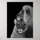 Sök efter svart lejon posters För dem