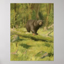 Sök efter björnar posters Natur