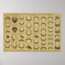 Sök efter dental posters Tänder