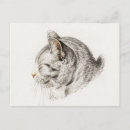 Sök efter skissa av katt Illustration