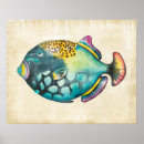 Sök efter akvarium posters Porträtt