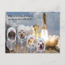 Sök efter humoristisk astronaut Hund