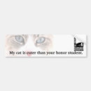Sök efter gul katt bildekaler Kattunge