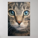 Sök efter closeup posters Äta
