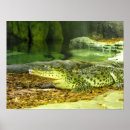 Sök efter kuben posters Natur