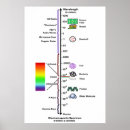 Sök efter spectrum posters Människor (allmänt)