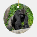 Sök efter gorilla julgransprydnader Fotografi