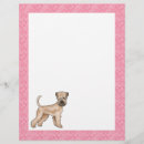 Sök efter wheaten terrier Hund