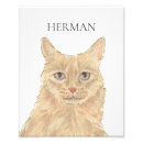 Sök efter coonen posters Cat mamma