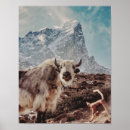 Sök efter jake posters Djur