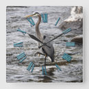 Sök efter heron Blå heron
