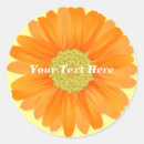 Sök efter orange gerbera Vår