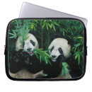 Sök efter panda skal Bära