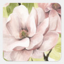 Sök efter magnolia klistermärken Blommor