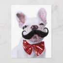 Sök efter mustache vågräta vykort Bulldog