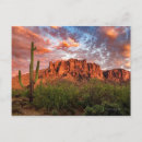 Sök efter kista vykort Människor (allmänt)