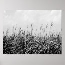 Sök efter dune posters Fotografi