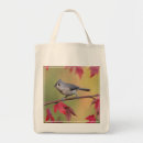 Sök efter mes fågel Birding