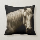 Sök efter horse fotografi Hästar