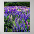 Sök efter texana posters Text