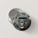 Sök efter gorilla knappar Primater