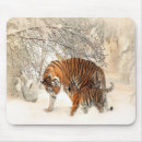 Sök efter tigre Djur