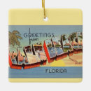Sök efter jul hanukkah julgransprydnader Florida