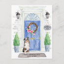 Sök efter australian shepherd vykort Hund